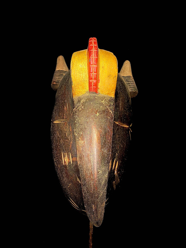 large image 2