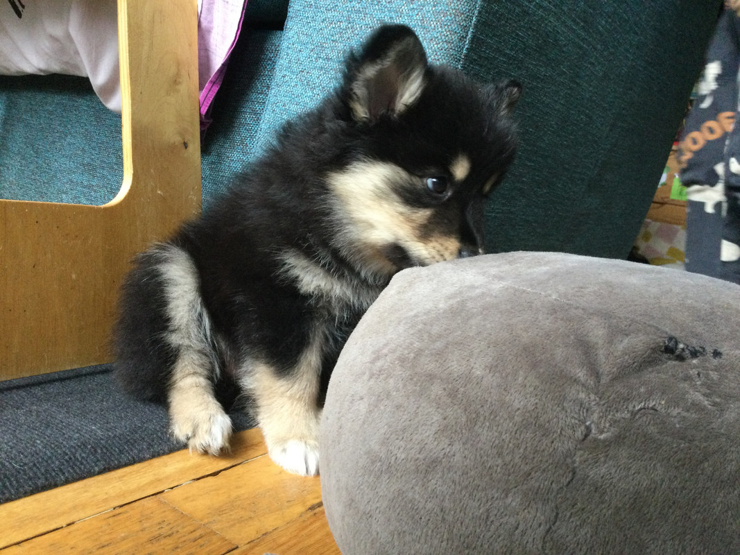 DA23B4F9-E813-4FFD-BEFB-C297C311F662