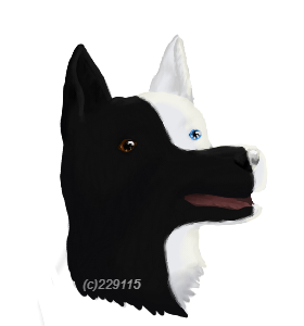 Kadence-Comm.png