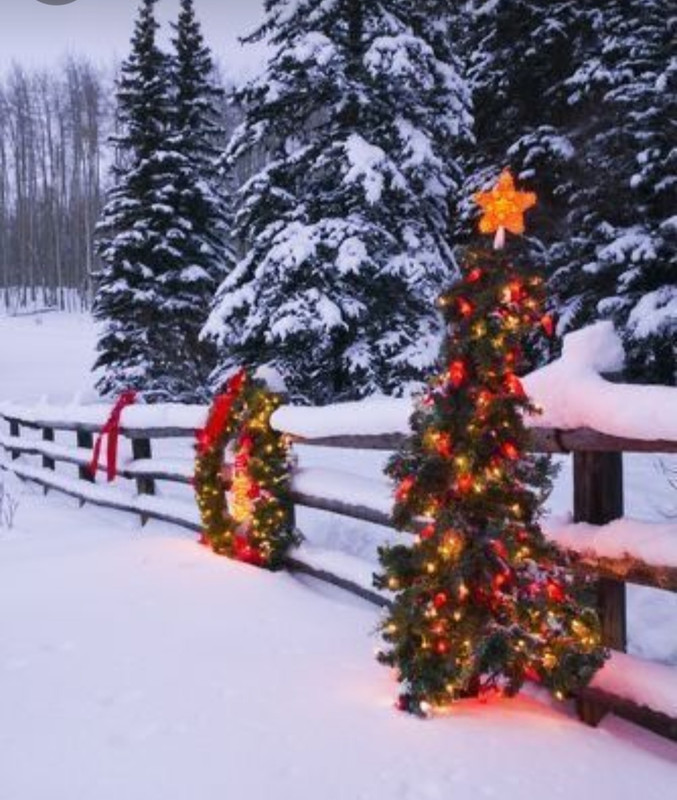 Screenshot_20231124_213809_Pinterest