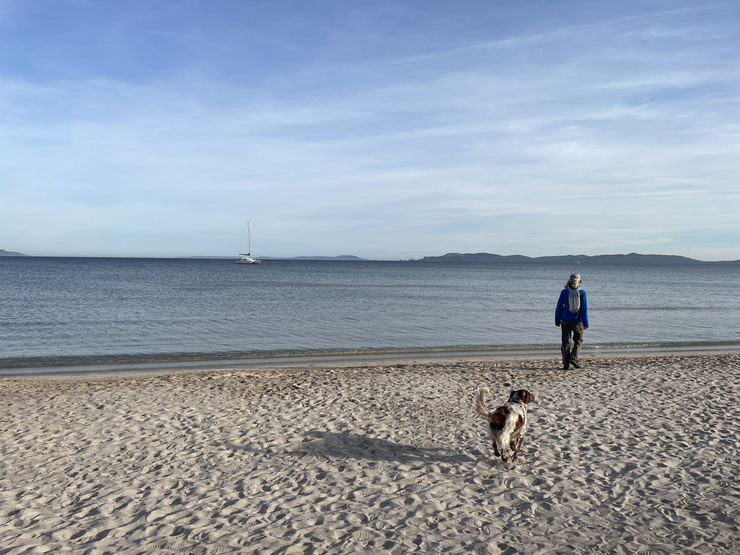 624949DF-DEC9-4517-B449-816FB2197BB0