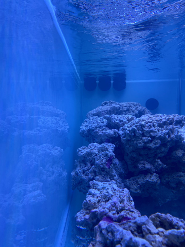 A2598F8A-8E9F-453F-9FE6-CBBECAD81276