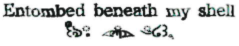 entombed beneath my shell