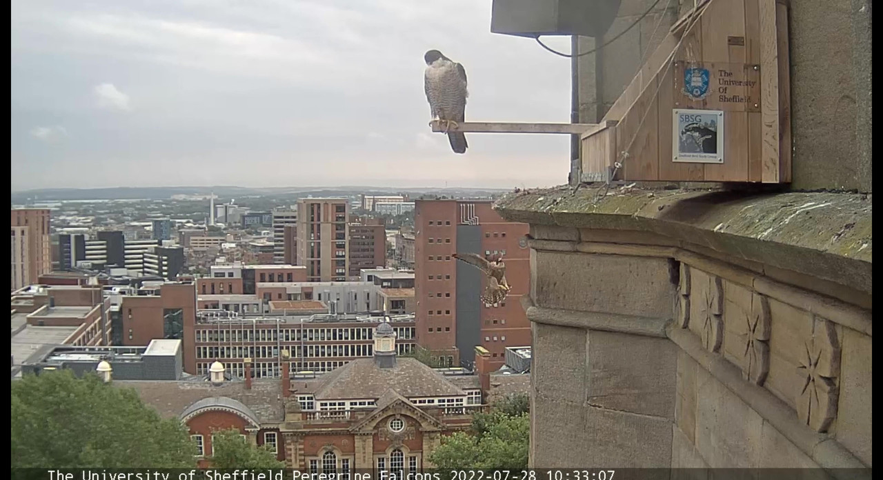 Sheffield/Yorkshire. - Pagina 4 Video-2022-07-28-124855-Moment