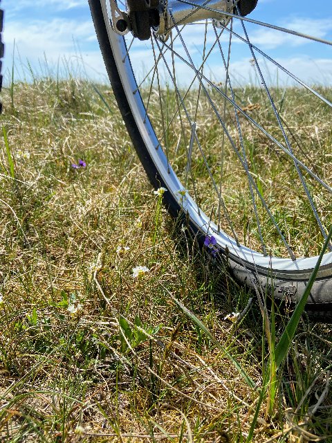 2-F716-A12-E6-A7-4-BCD-AC06-066-C5-B62-B