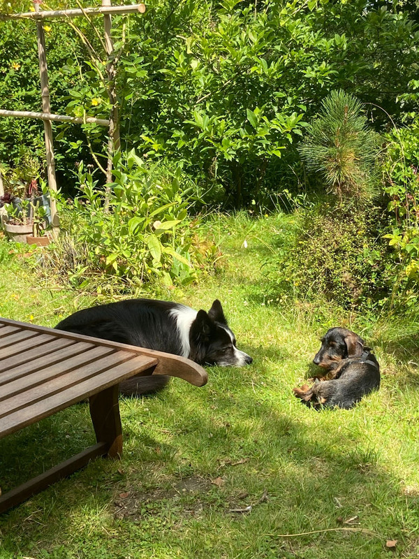 [Image: IMG-20230720-WA0004.jpg]