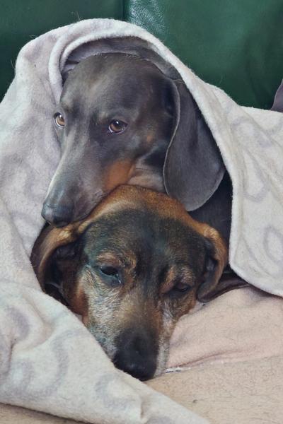 [Image: DSC-0005.jpg]