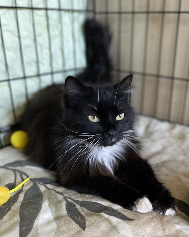 C542598F-5856-44E3-A282-893FC851A627