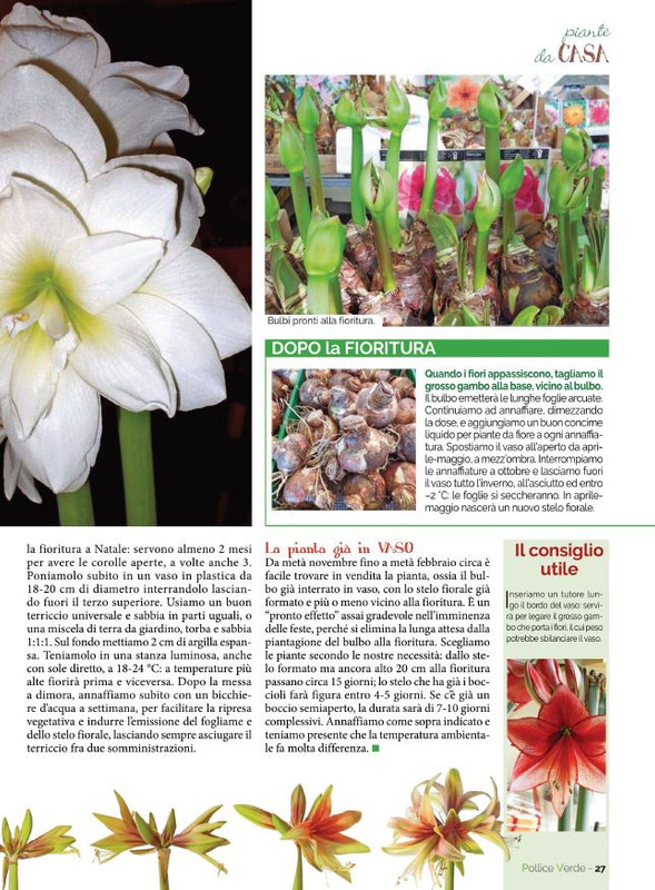 Pol Ver Nov-Dic 2021 (8)