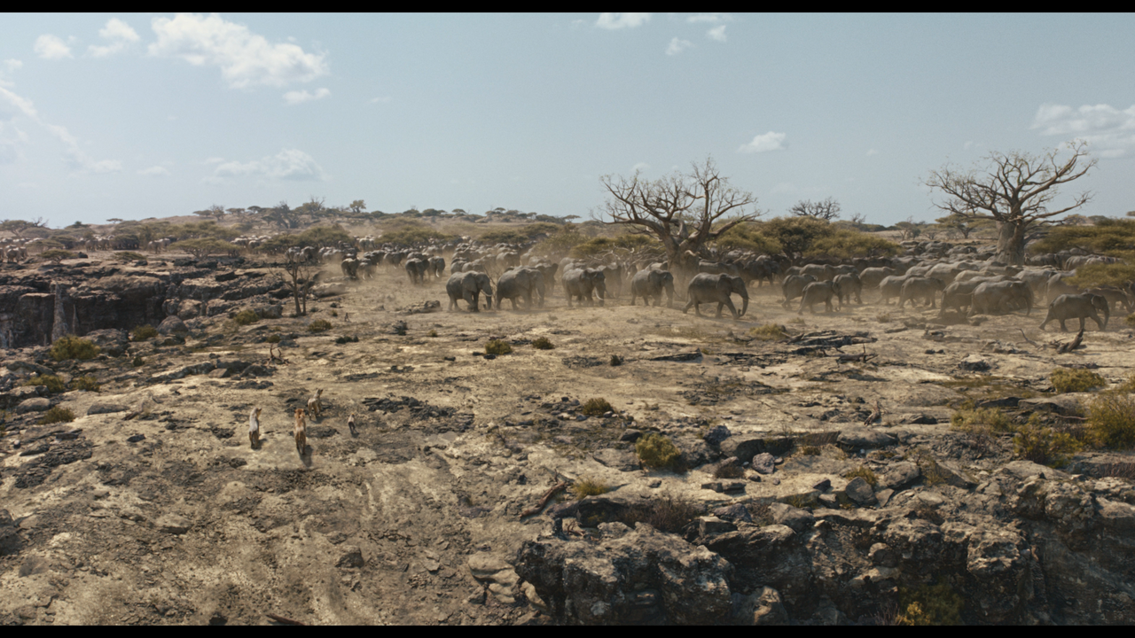 mpv-shot_MUFASA.THE.LION.KING.2024.2160p.UHD.BDRemux.HDR.DV.HEVC-Нечипорук_01_05_39_0008