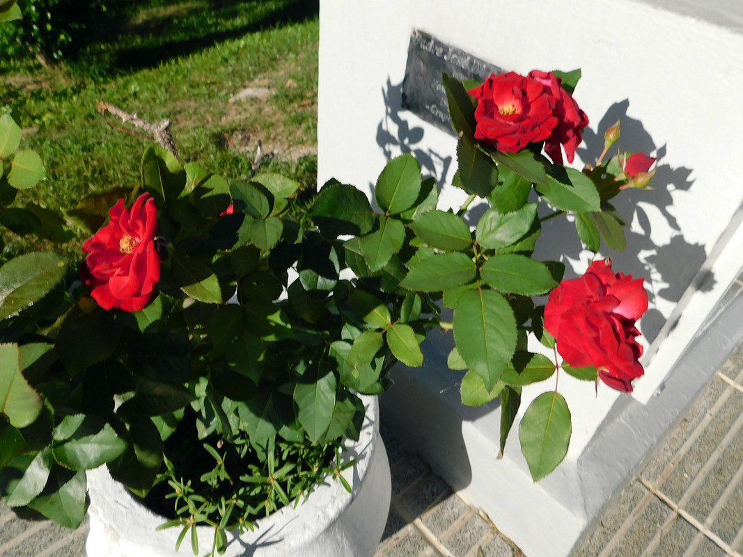 DSCN0553.jpg