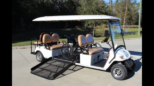 Handicap Golf Carts