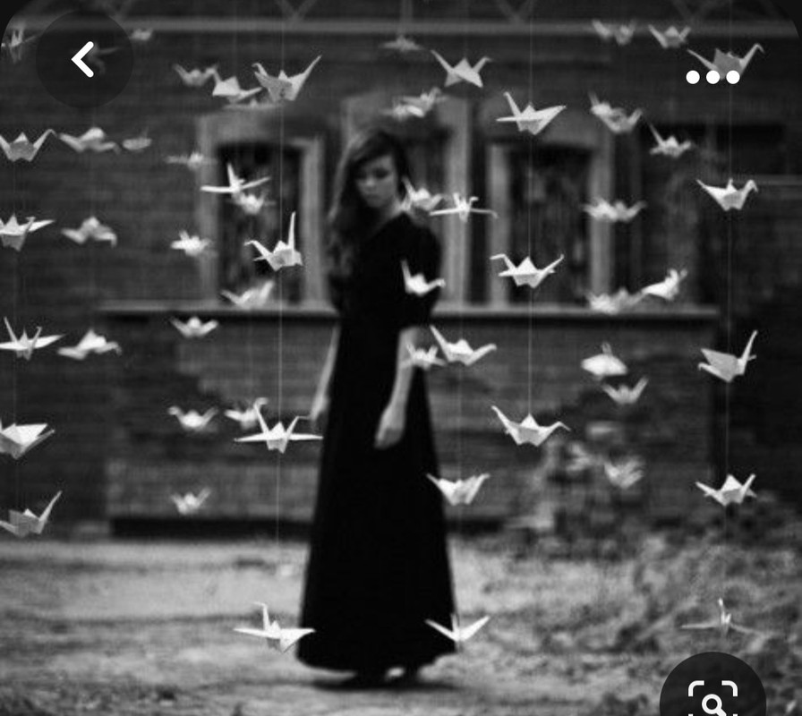 Screenshot_20231105_000905_Pinterest