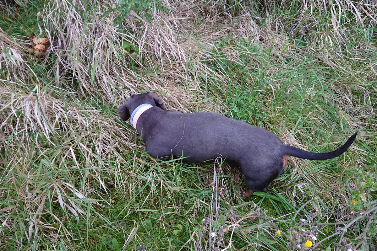 [Image: DSC-3223.jpg]