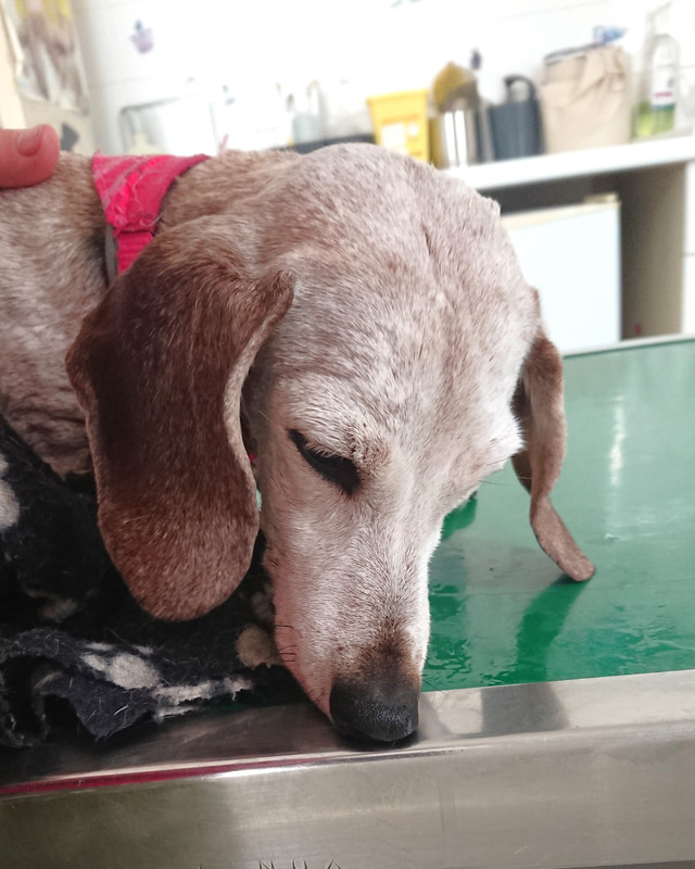 [Image: DSC-3008.jpg]