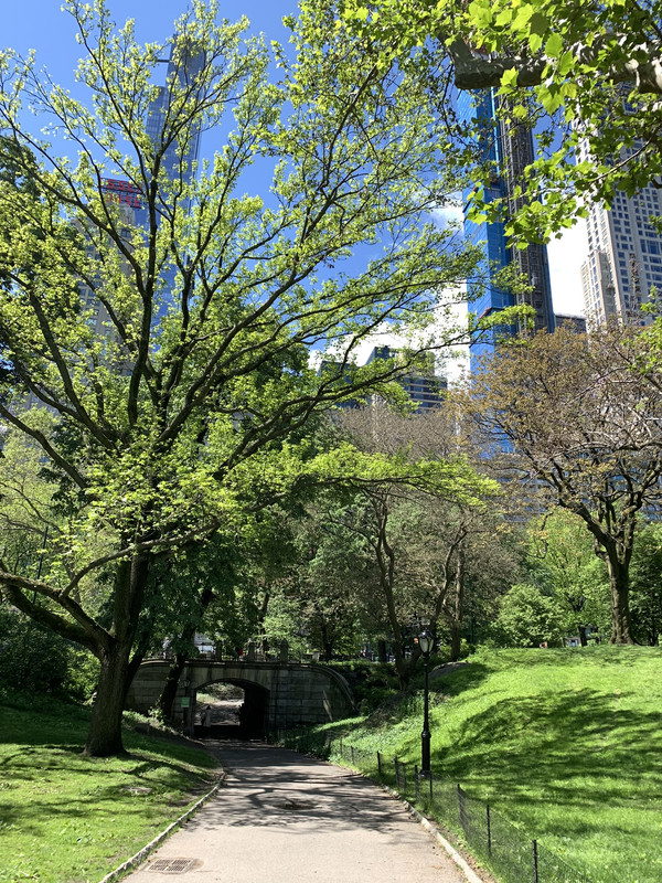 713150D1-12D3-4100-83A4-746951F36C6D