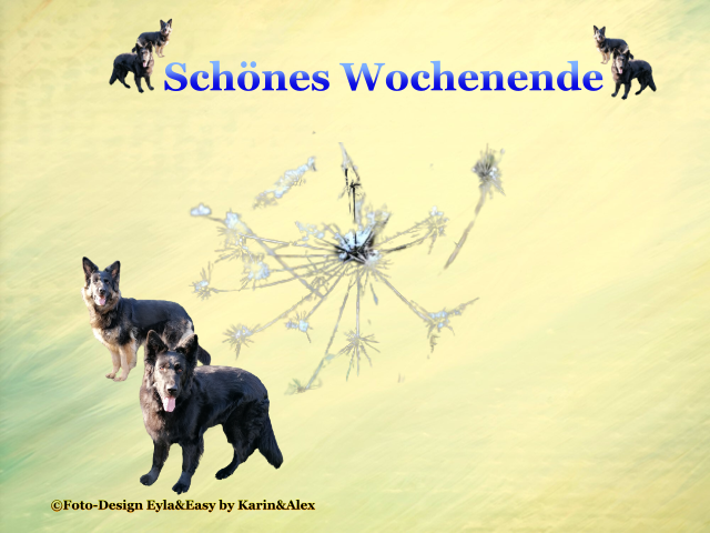 An den Beitrag angehängtes Bild: https://i.postimg.cc/MpnFJXgM/sch-nes-Wochenende-G-stebuchbild-21-01-22.png
