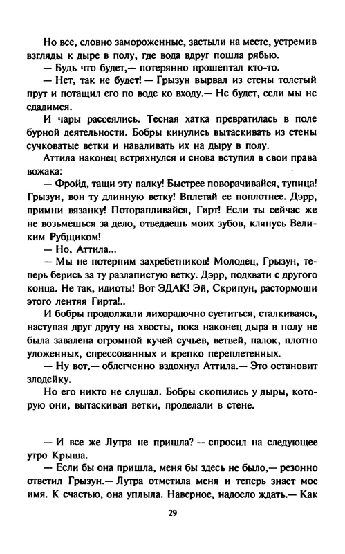 Kouni-Kot-po-imeni-Sabrina-0032