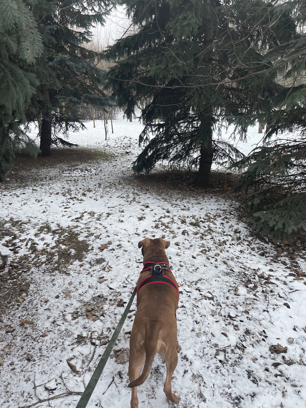 2ED9166A-31A2-4403-BA22-318CC38053CF