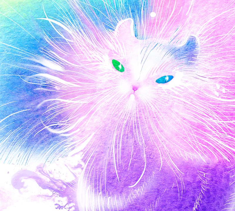04