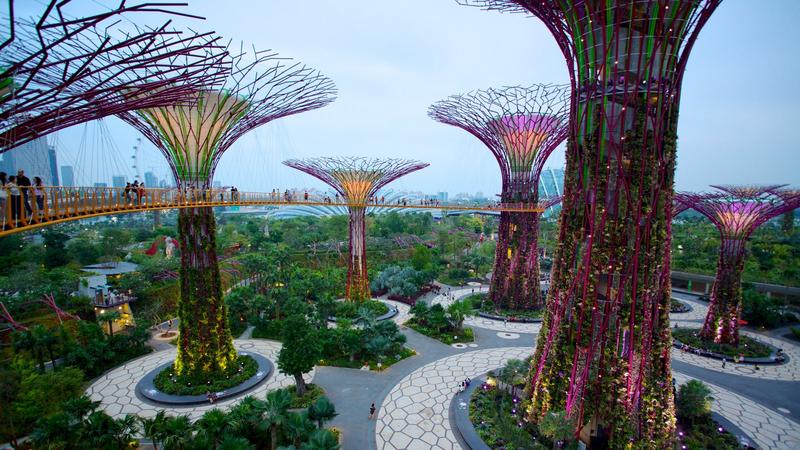 singapour-gardens.jpg