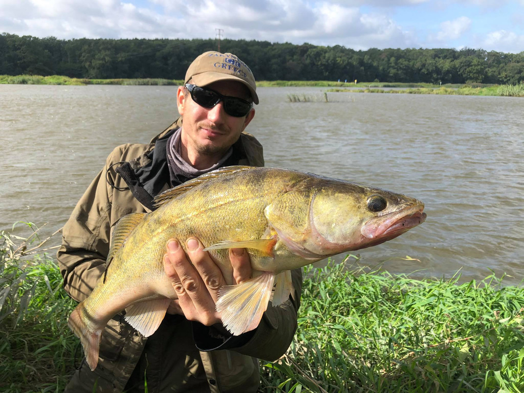 242780550-363694648814243-11512041550143