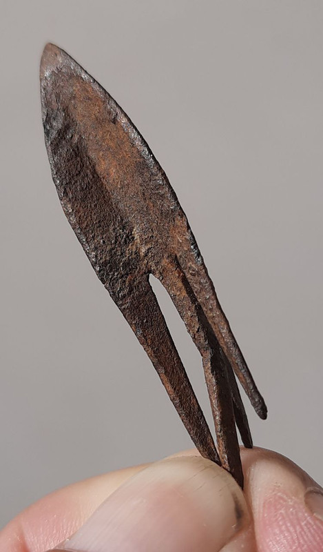 photo_2022-11-01_18-38-44 (2)