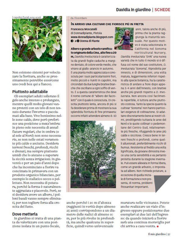 Il Mio Giar GIu-Lug 2024 (8)