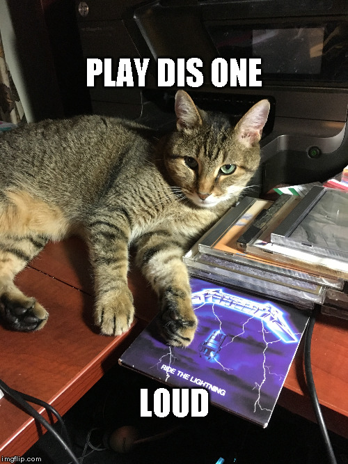 cat-play-dis-wun.jpg