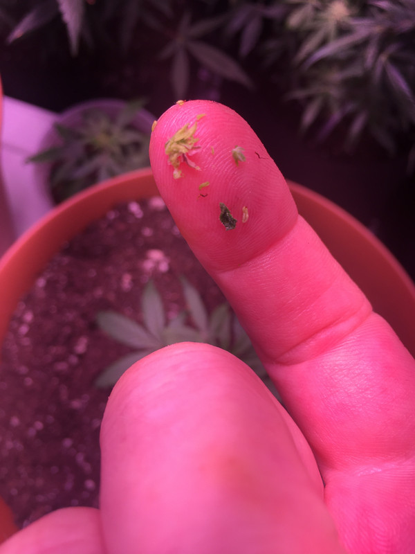 668851BB-658F-4588-984D-35F48AB4FEE0