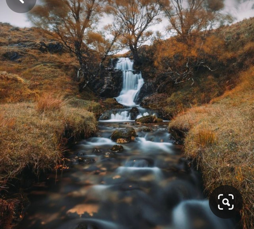 Screenshot_20231117_214117_Pinterest