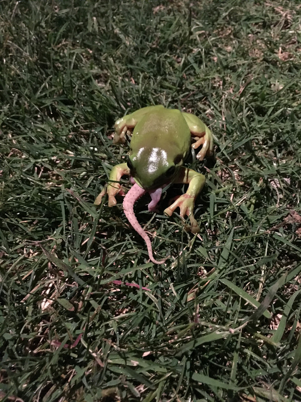 29BE5CE2-574E-46E7-86CD-85C18902E4CA