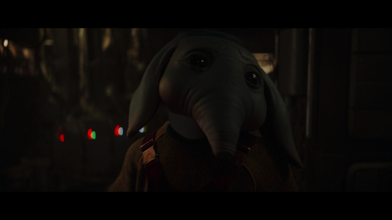 vlcsnap-2024-12-02-22h39m51s703