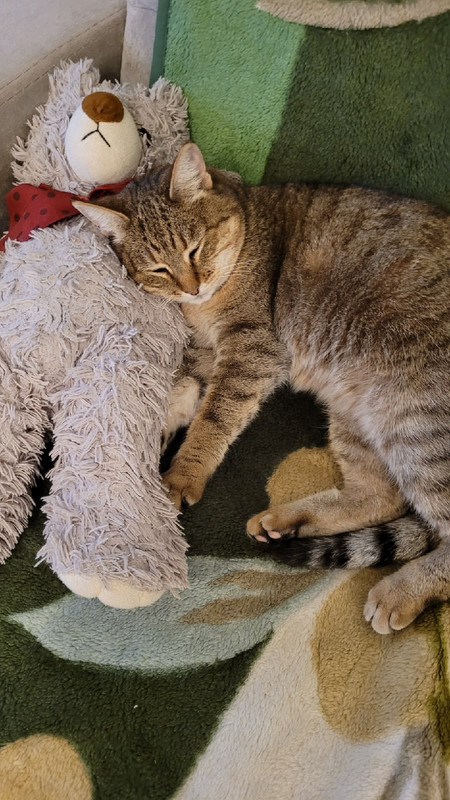 UEZESjrXHGljhoLYNxyIIp-em-bFVcoZ2_0XXuLYoeckEEo9apcQqEmZsf2MtbkBIJEDsVyyFjqBHSpDbM__0QZi