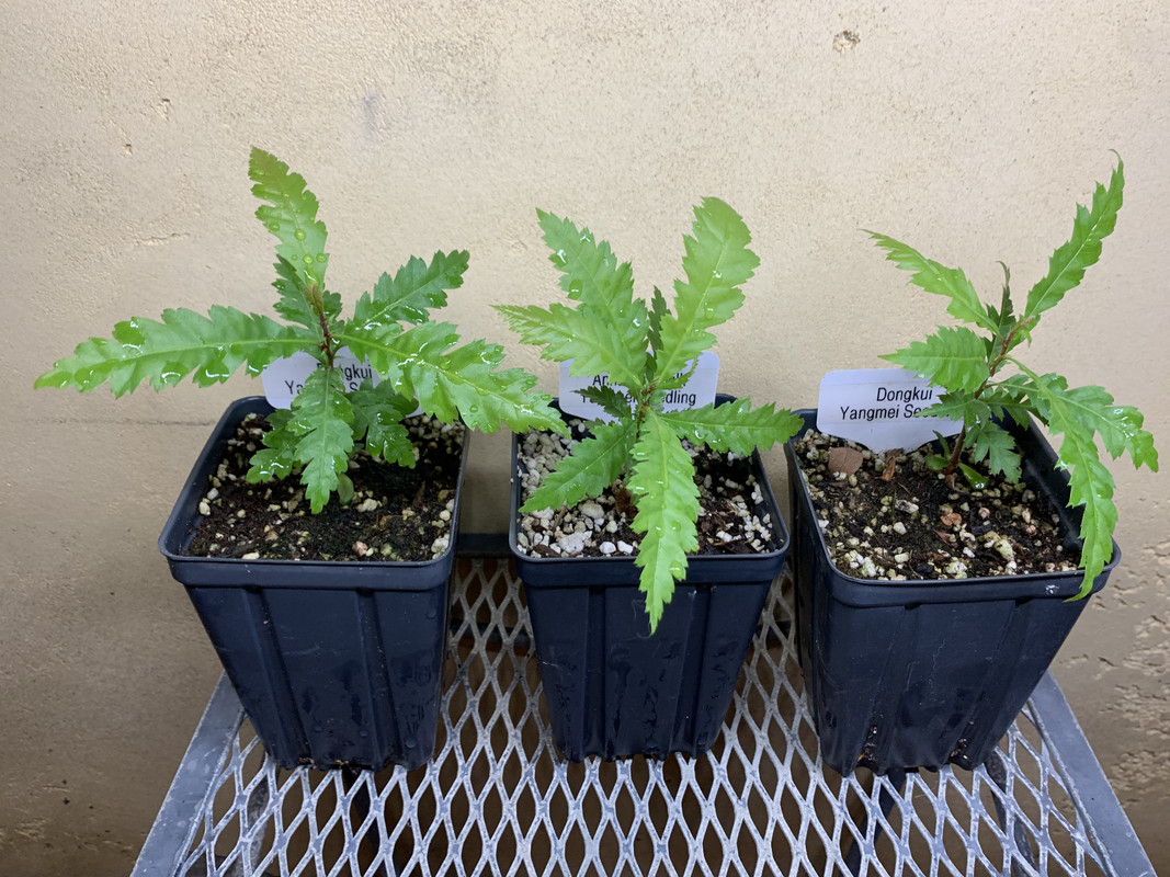 2AD0DDEE-466D-4353-9040-32EDA3AEDC55