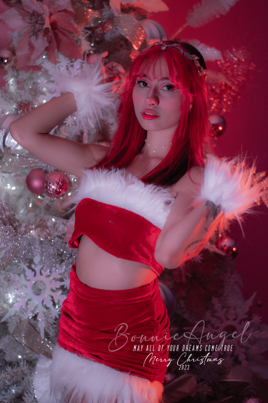 Bonni3Angel celebrate with me this Christmas! You are very invited! this Dec 23 image: 1