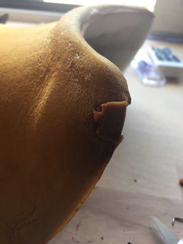 A80A7DBB-EF30-40FC-9B12-A3DF18C6BF32