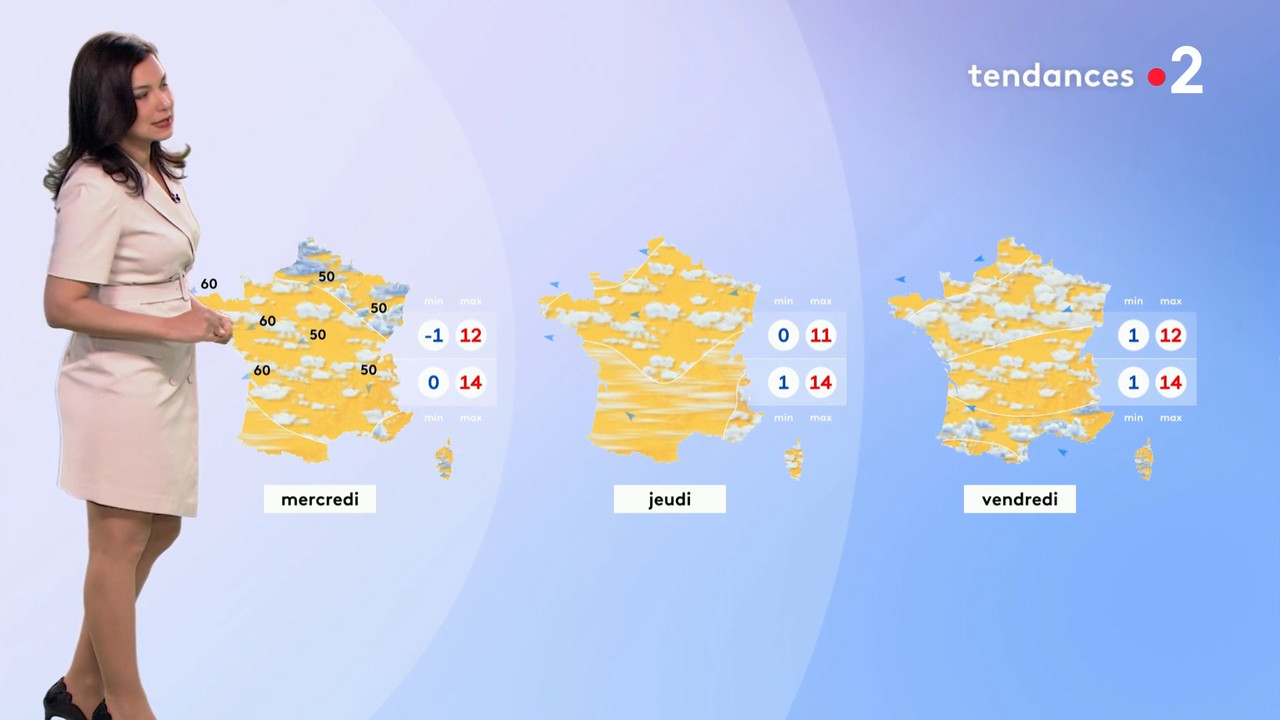 2021-04-11_20_50_Fr2_Meteo.mp4_snapshot_13.57.556