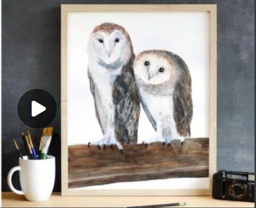 Paint a Watercolor Owl: Barn Owls