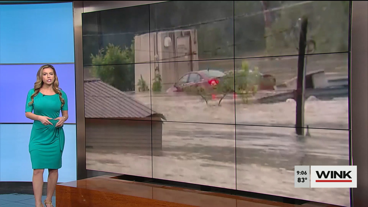 WINK News at 9 00 a.m. 2022_07_30_14_00_00.ts_snapshot_00.09.49.285