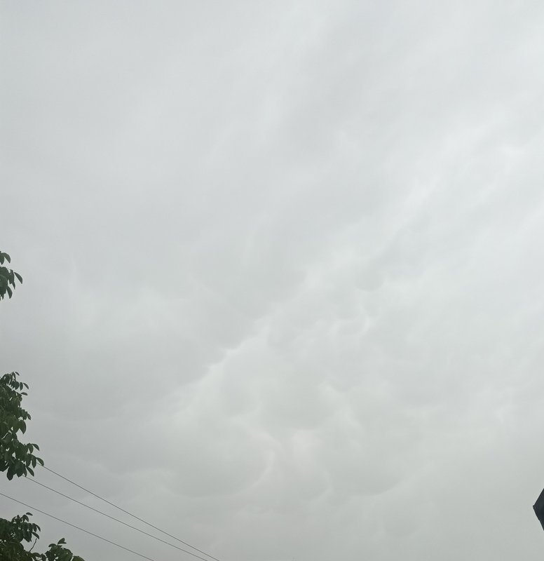 20240622-172721.jpg