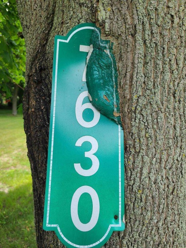 Time-50