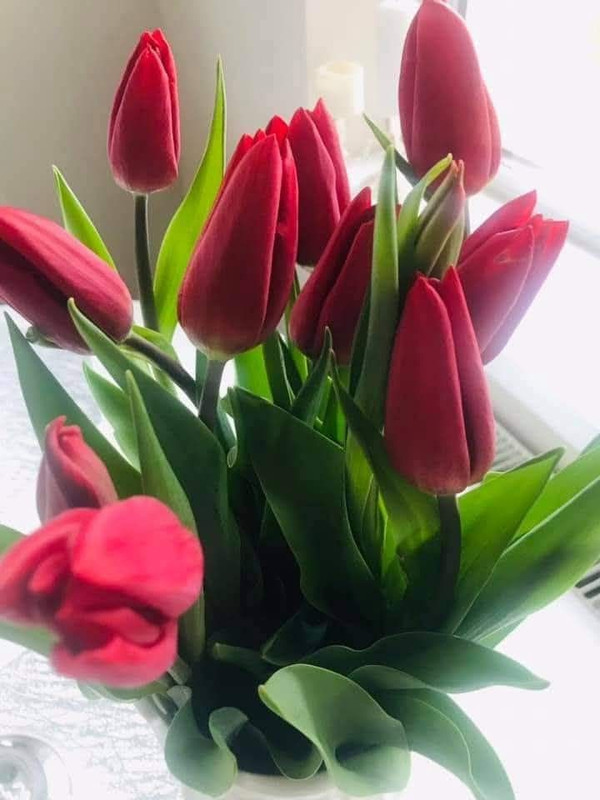 658908518-2508018916300135-5018950733385603084-n