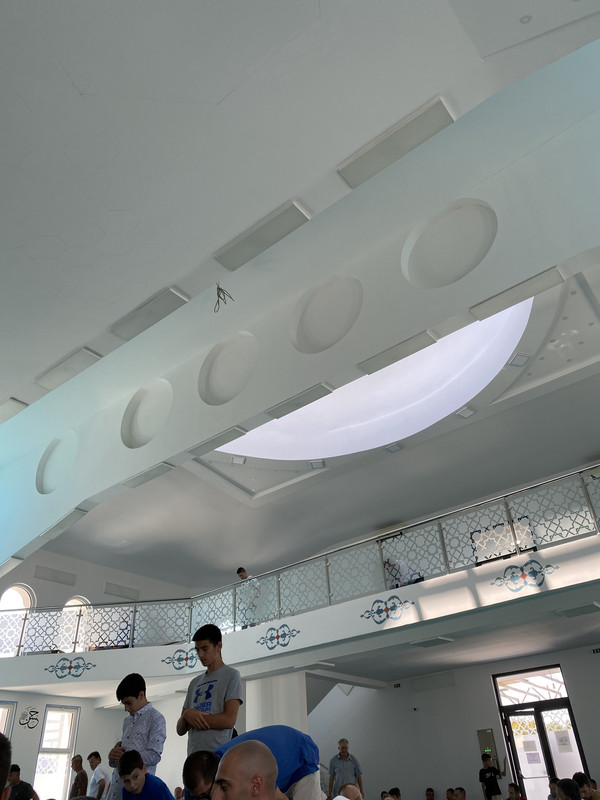 D08BE245-6640-4DDA-A85E-42FB3ABB3F5E