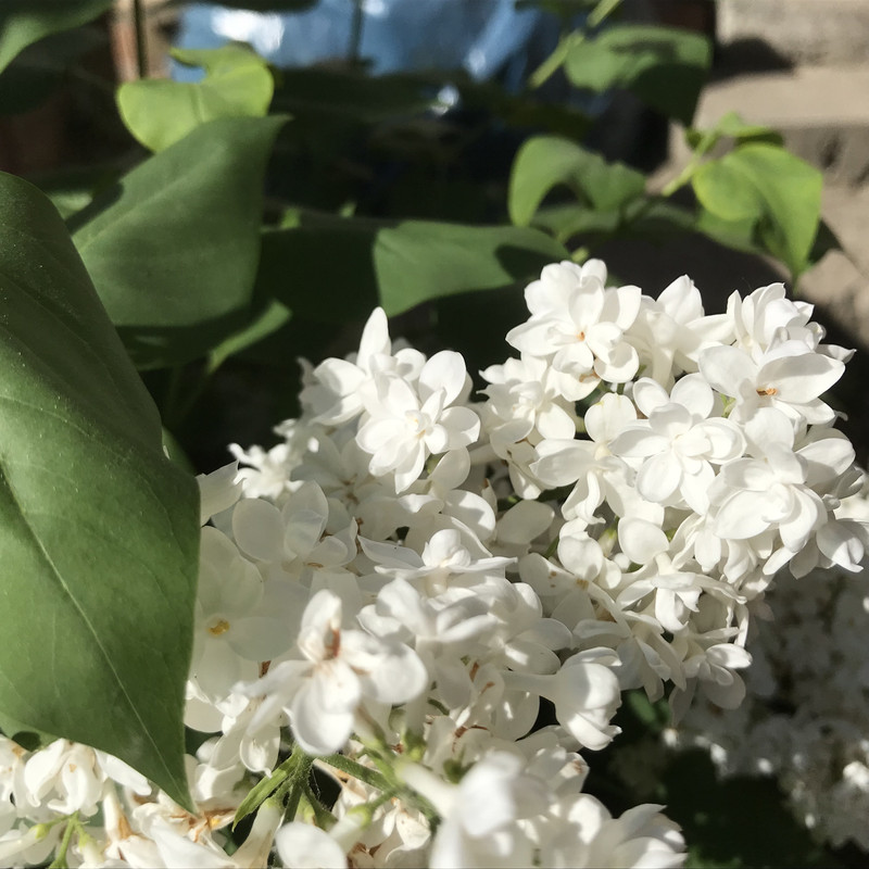 не Сенсация Кидстафф (2)