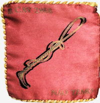 BCav2868