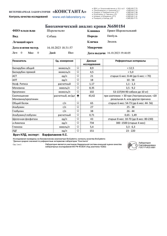 Биохимический анализ крови (680184)