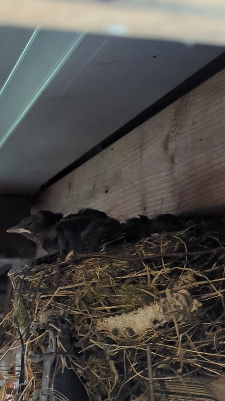 PXL_20250426_125349896.TS_exported_13906_1748613753460