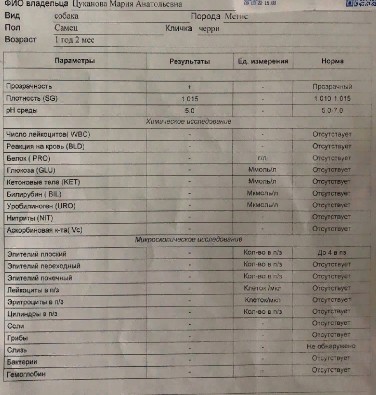 Скриншот 18-03-2022 00_40_51
