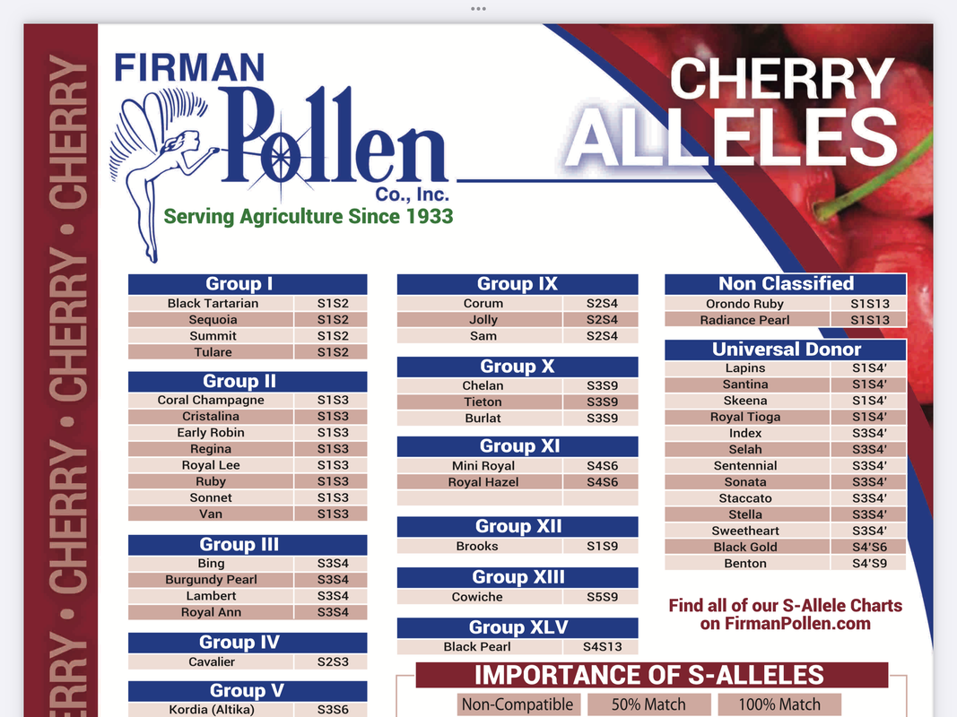 C570085C-8234-4E2F-B807-076140FCC6E7